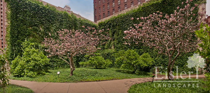 Project_Magnolia Park4.jpg